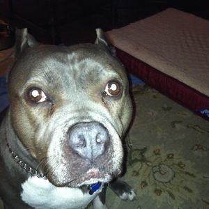 Meet your Posher, Angela